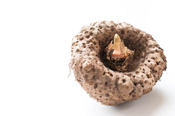 Glucomannan and weight loss